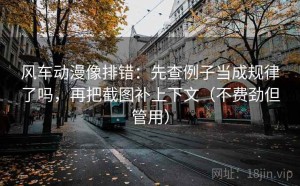 风车动漫像排错：先查例子当成规律了吗，再把截图补上下文（不费劲但管用）