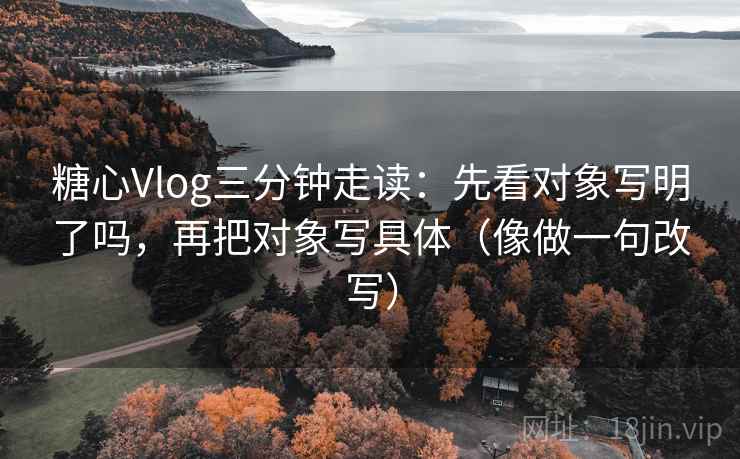 糖心Vlog三分钟走读：先看对象写明了吗，再把对象写具体（像做一句改写）